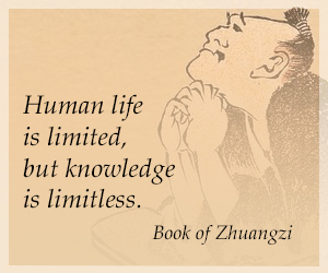 Dermwiz ad 7 300x250