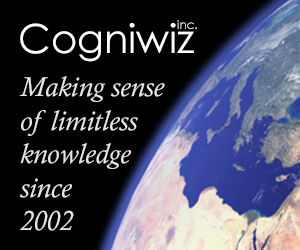 Dermwiz ad 9 300x250